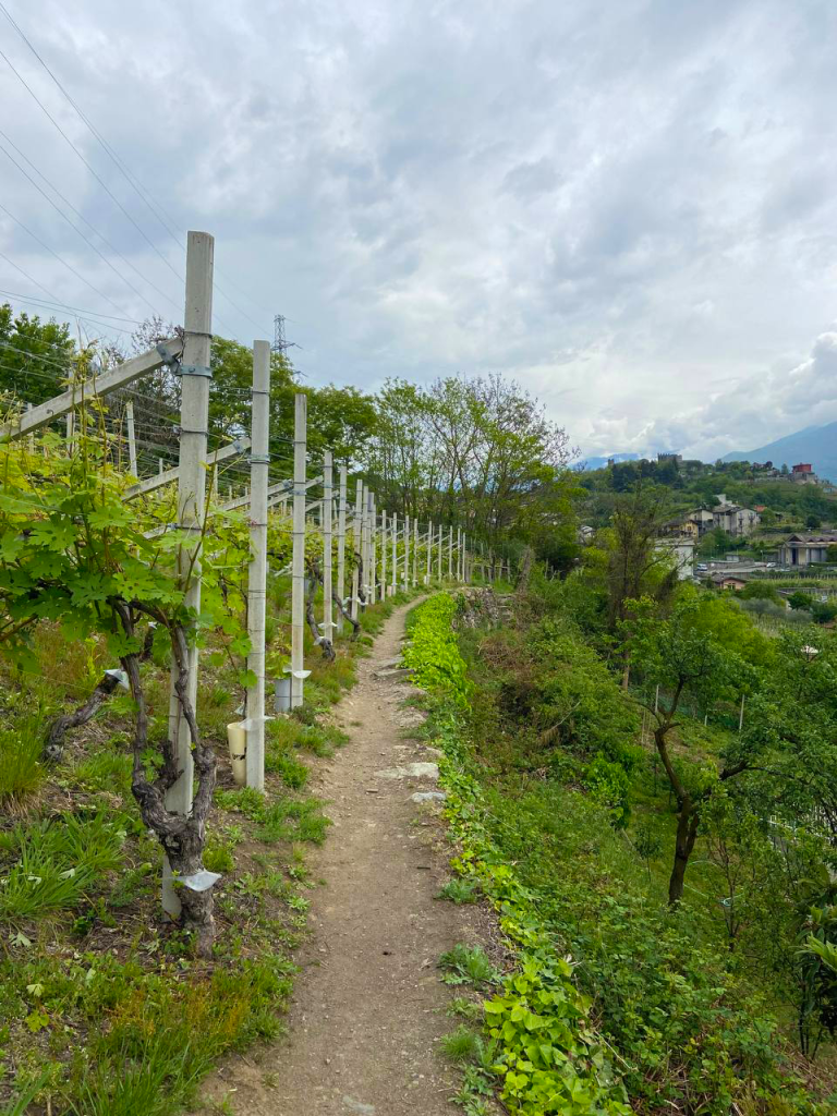 Castel Grumello Trekking Urbano