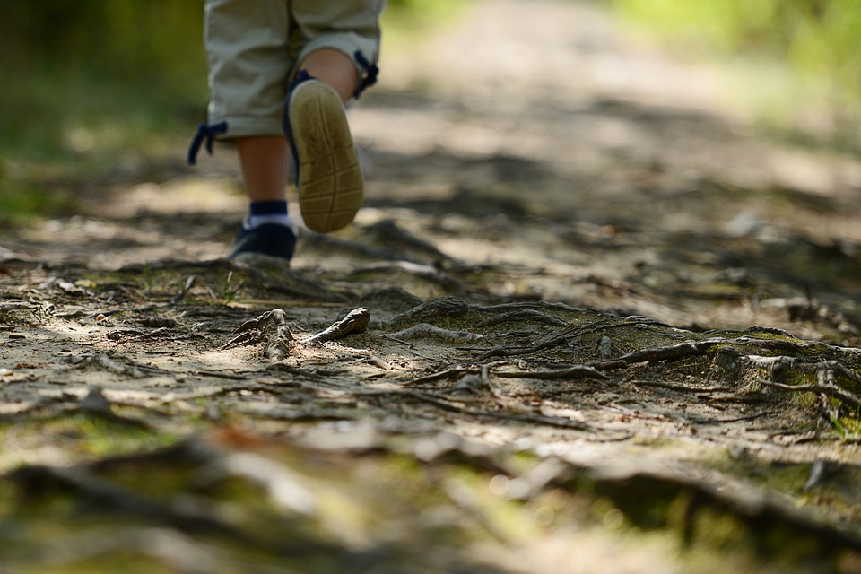 outdoor education educazione ambientale