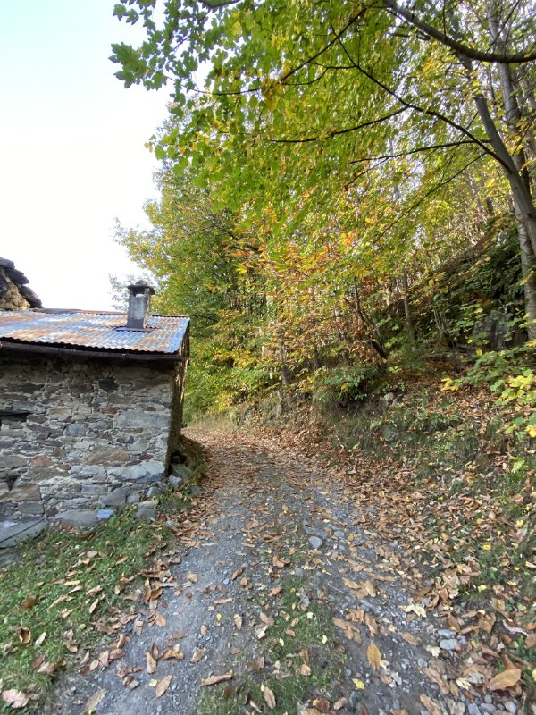 Sentiero morbegno città alpina orobico