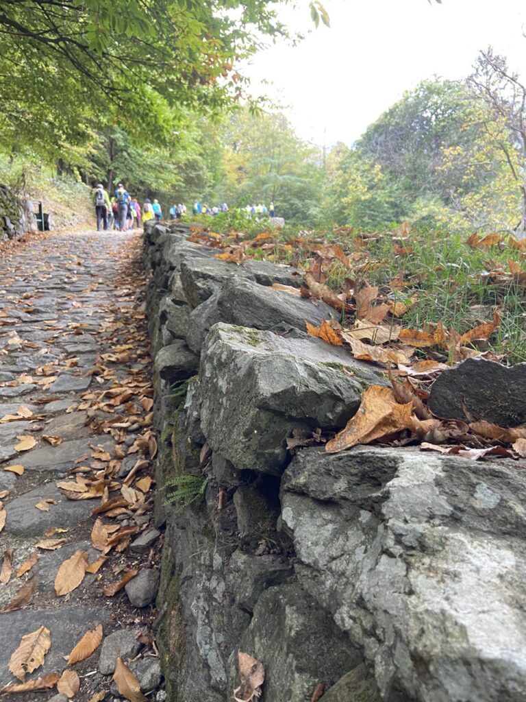 Sentiero morbegno città alpina orobico