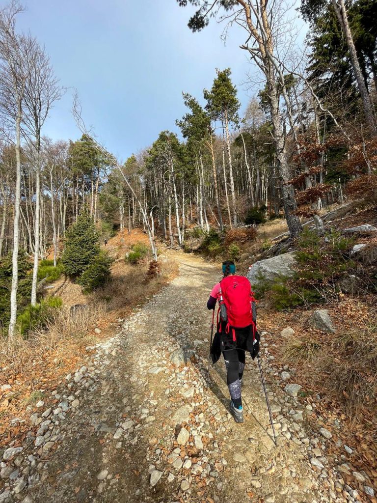 Monte Berlinghera