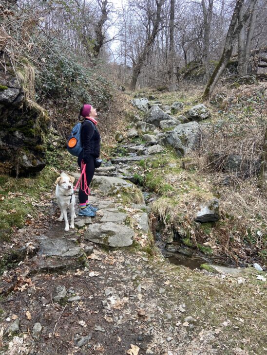 Val Codera tracciolino escursione