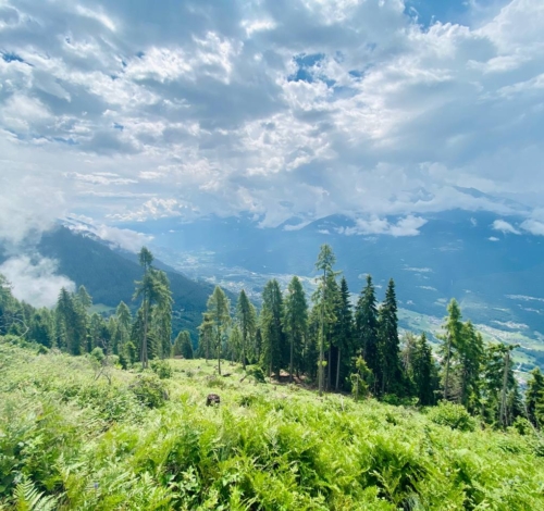 10 modi per vivere esperienze uniche in montagna: scopri la magia dell’alta quota