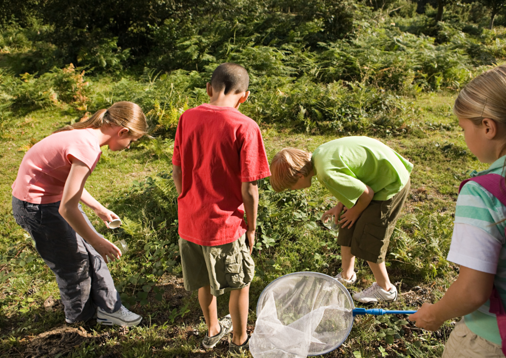 educazione in natura materiali naturali