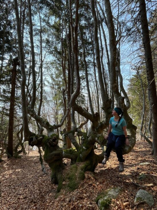 biofilia connessione uomo e natura