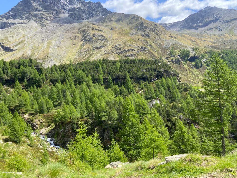 biofilia connessione uomo e natura