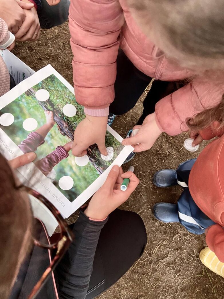 perchè fare educazione ambientale.jpg