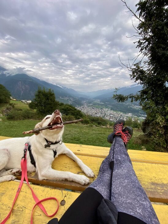 uscire con il cane salute