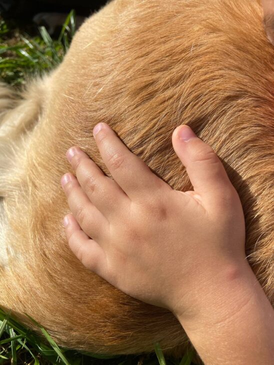 uscire con il cane salute