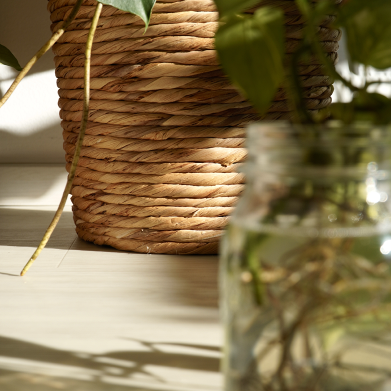 Benedetta-Sala-Due-passi-in-natura-educazione-ambientale-metodo-achillea-_78_