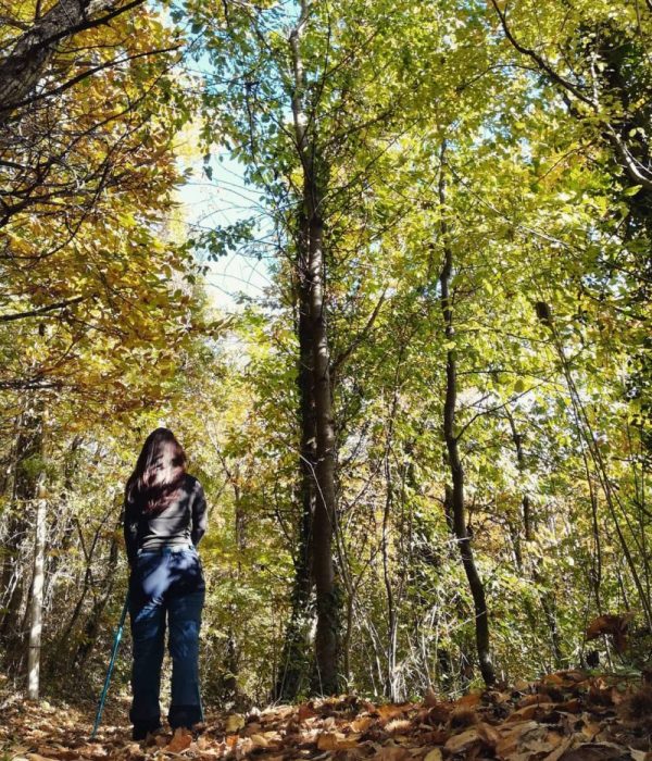 foliage in autunno